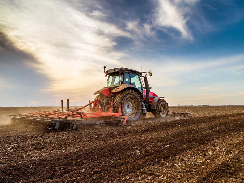 Agricultural Products